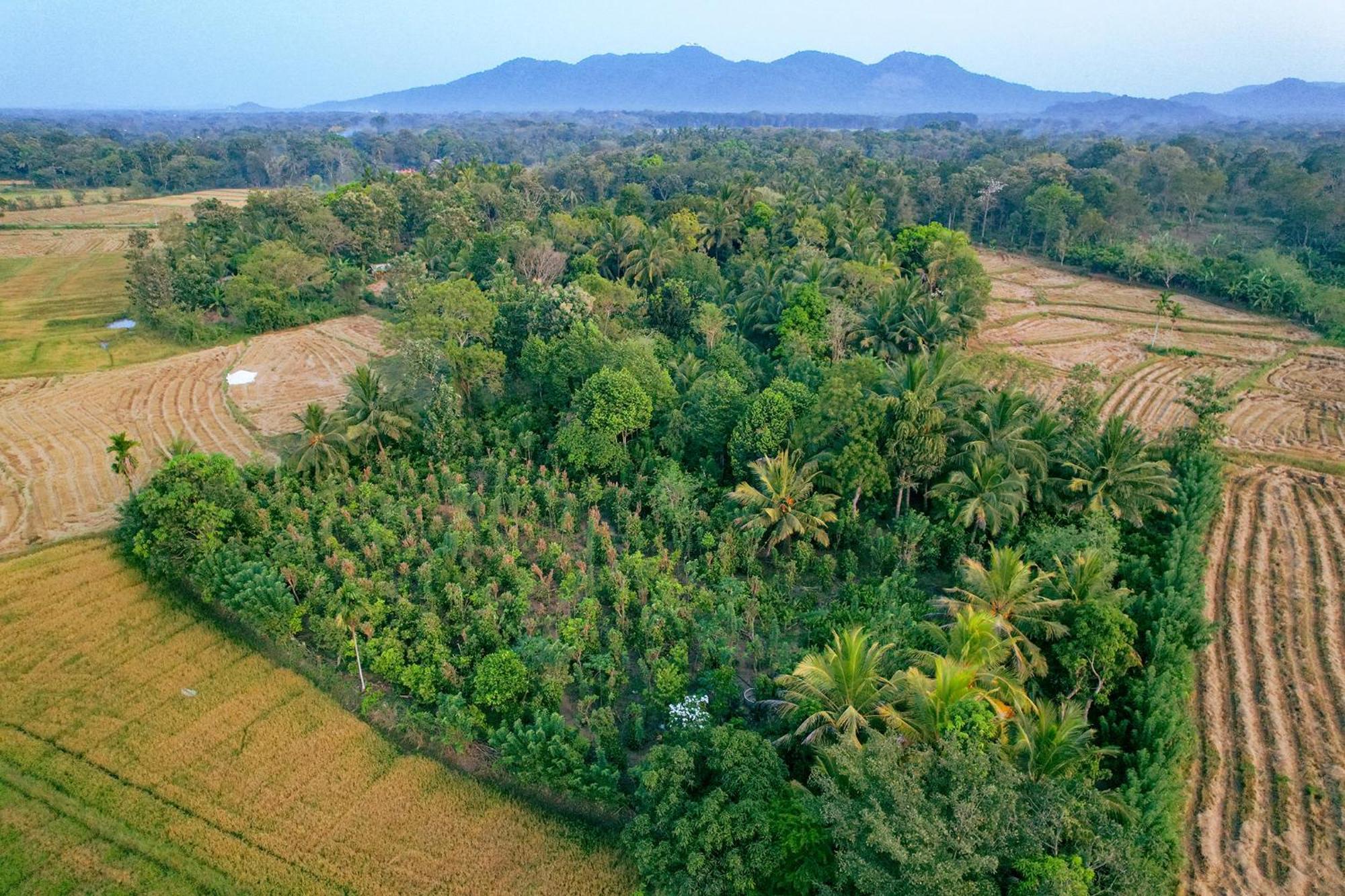 Mailagama Cinnamon Residence Kataragama Extérieur photo