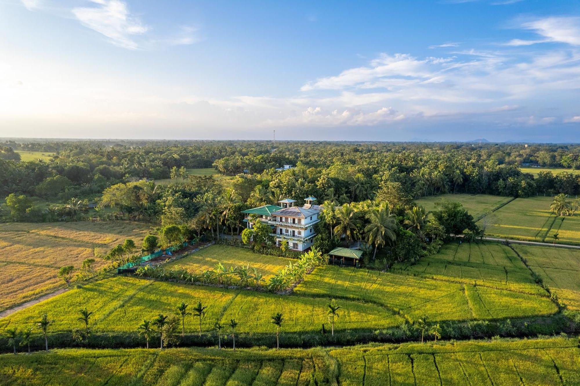 Mailagama Cinnamon Residence Kataragama Extérieur photo